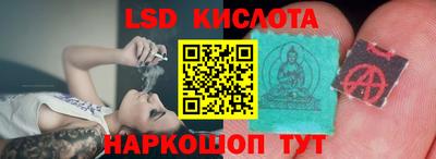шишки Гулькевичи