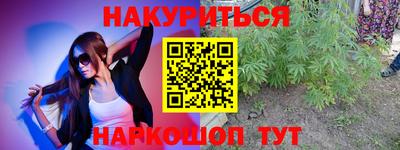 шишки Гудермес