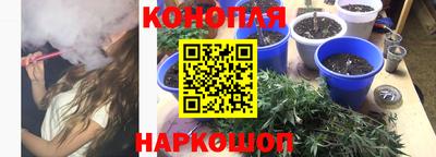 шишки Добрянка