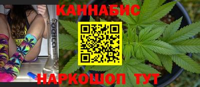 шишки Гудермес